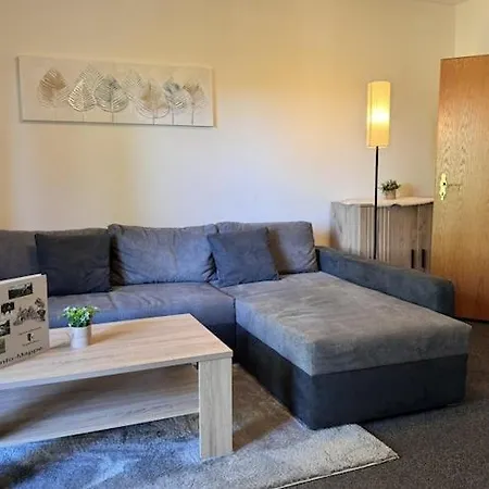 Apartment For 4 In Altenau, Cleaning Included