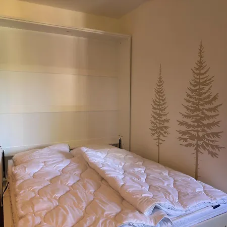 Apartment Apartment In Altenau Near Harz Mountains, Cleaning Included Altenau (Lower-Saxony)